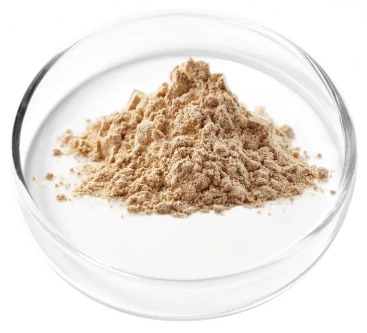 Granular Berberine - FemiCore ingredient for urinary microbiome balance